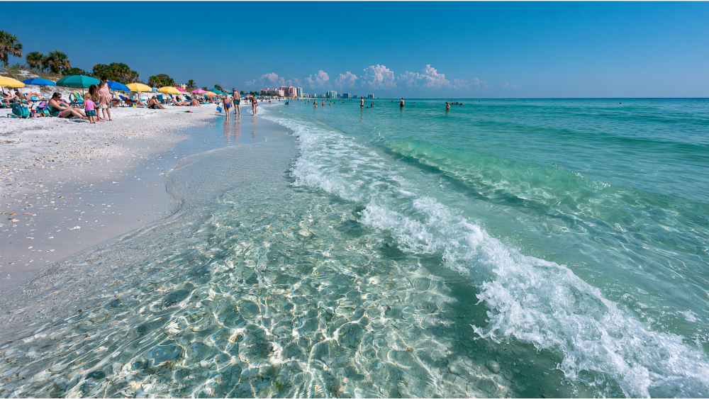 Things to Do in the Tampa Area: Beaches, Theme Parks, and the Water