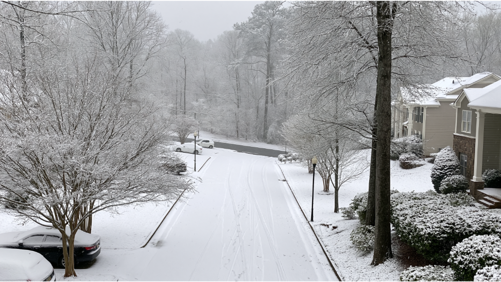 Weather: Four Distinct Seasons